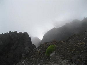 NIEBLA ALTA MONTAÑA